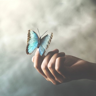 Scholarships for 168官方幸运五澳洲结果体彩网 Holistic Model